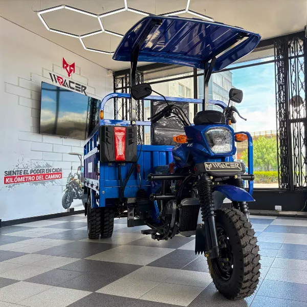 Venta de vehículos eléctricos y motocarros